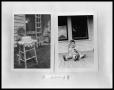 Photograph: Birthday, Little Girl Sittin on Porch with Toys