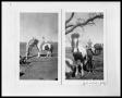 Thumbnail image of item number 1 in: 'Man, Girl, Pony, and Irrigation Pump'.