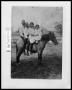 Thumbnail image of item number 1 in: 'Four Kids on Horse'.