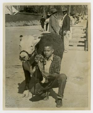 Primary view of object titled '[Boy with a Cow]'.