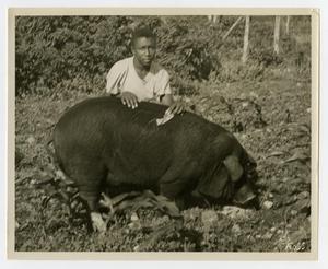 Primary view of object titled '[Boy with a Show Pig]'.