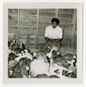 Primary view of object titled '[Mrs. Dena Collins with Turkeys]'.