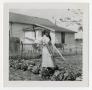 Thumbnail image of item number 1 in: '[Woman in a Garden]'.