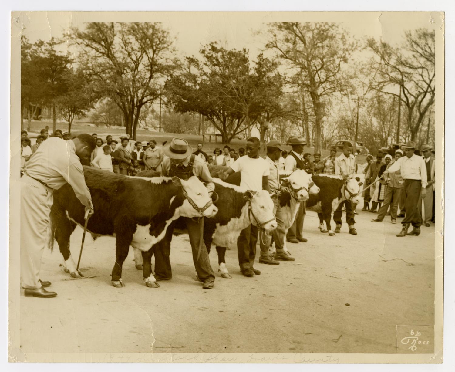1949 Livestock Show, Travis County
                                                
                                                    [Sequence #]: 1 of 2
                                                
