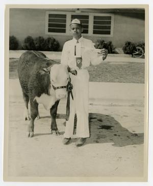 Primary view of object titled '[Boy with a Cow]'.