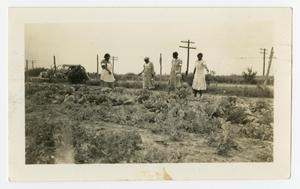 Primary view of object titled '[Women in a Field of Crops]'.