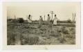 Thumbnail image of item number 1 in: '[Women in a Field of Crops]'.