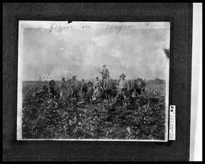 Primary view of object titled 'Pickers in Cotton Field'.