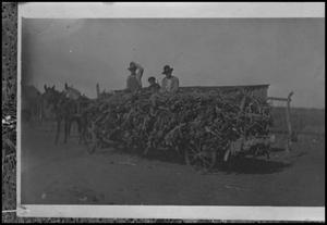 Primary view of object titled '[Photograph of a Hay Wagon]'.