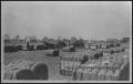 Thumbnail image of item number 1 in: '[Photograph of a Cotton Yard in Carlton, Texas]'.