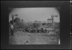 Primary view of object titled '[Photograph of E. C. Hewett's Ranch]'.
