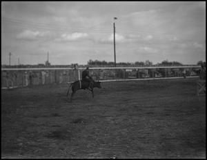 [Photograph of a Bull Rider]