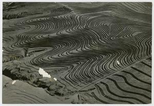 Primary view of object titled '[Aerial View of Cultivated Land]'.