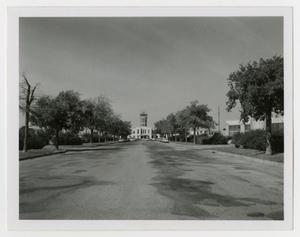 Primary view of object titled '[Photograph of Tree-Lined Street]'.