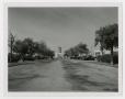 Thumbnail image of item number 1 in: '[Photograph of Tree-Lined Street]'.