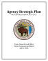 Primary view of Texas General Land Office and Veterans' Land Board Agency Strategic Plan: Fiscal Years 2013-2017