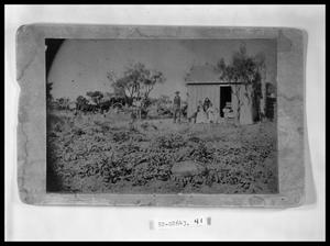 Primary view of object titled 'People in Watermelon Patch'.