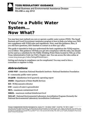 Primary view of object titled 'You're a Public Water System ... Now What?'.
