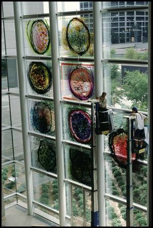 Dale Chihuly: Installations 1964-1994 [Photograph DMA_1502-65]