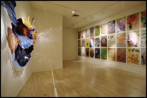 Dale Chihuly: Installations 1964-1994 [Photograph DMA_1502-23]