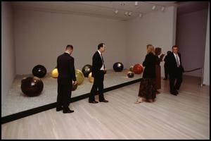 Dale Chihuly: Installations 1964-1994 [Photograph DMA_1502-86]