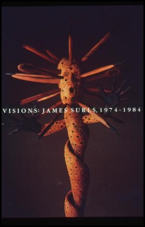 Visions: James Surls, 1974-1984 [Photograph DMA_1364-01]
