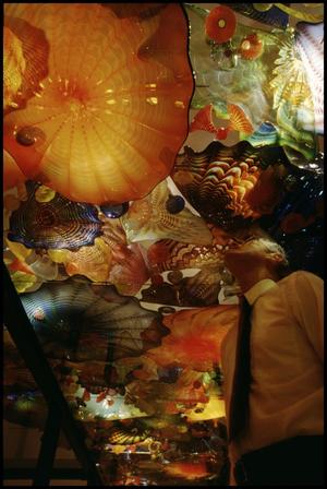 Dale Chihuly: Installations 1964-1994 [Photograph DMA_1502-76]