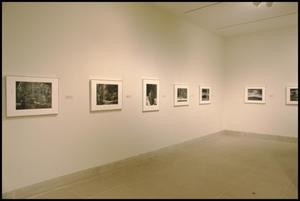 Ansel Adams and American Landscape Photography [Photograph DMA_1411-12]