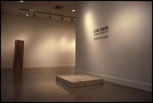 Carl Andre Sculpture 1959-1977 [Photograph DMA_1292-13]