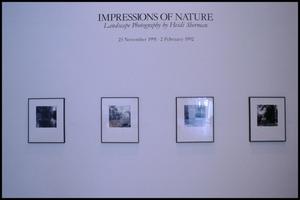 Impressions of Nature: Landscape Photography by Heidi Sherman [Photograph DMA_1466-02]