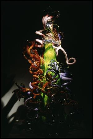 Dale Chihuly: Installations 1964-1994 [Photograph DMA_1502-30]