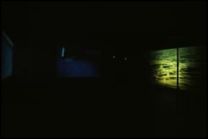 Concentrations 33: Doug Aitken, Diamond Sea [Photograph DMA_1350-18]