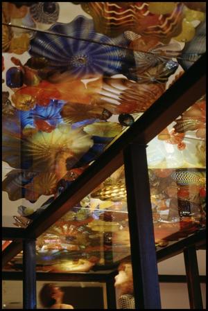 Dale Chihuly: Installations 1964-1994 [Photograph DMA_1502-80]