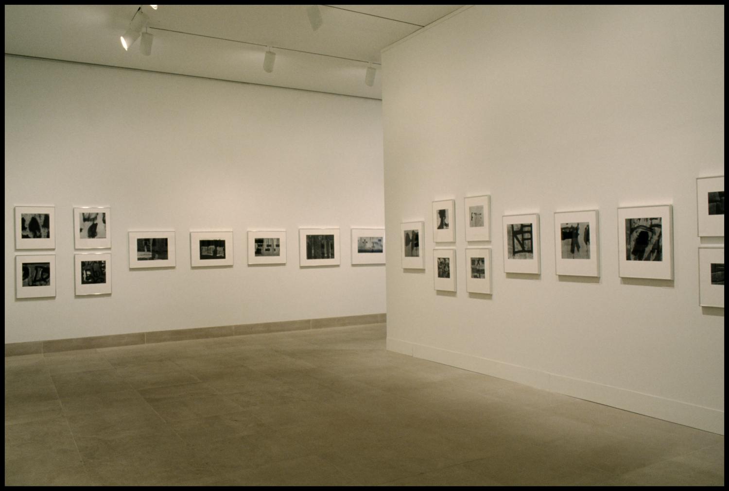 Aaron Siskind: Fifty Years [Photograph DMA_1386-05]
                                                
                                                    [Sequence #]: 1 of 1
                                                