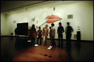 Dallas Museum of Fine Arts Installation: Contemporary Art [Photograph DMA_90001-56]