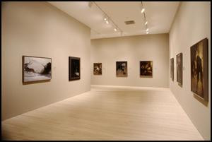 An American Vision: Three Generations of Wyeth Art [Photograph DMA_1405-18]
