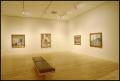 Primary view of Pierre Bonnard: The Late Paintings [Photograph DMA_1362-18]