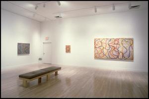 Brice Marden, Work of the 1990s: Paintings, Drawings, and Prints [Photograph DMA_1565-11]