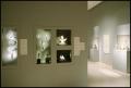 Photograph: Dallas Museum of Art Installation: Museum of the Americas, 1993 [Phot…