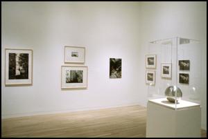 Primary view of object titled 'Gerhard Richter in Dallas Collections [Photograph DMA_1583-21]'.