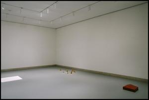 Primary view of object titled 'Wolfgang Laib: A Retrospective [Photograph DMA_1612-18]'.