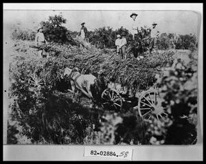 Primary view of object titled 'Grain Harvesting'.