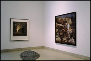 Dallas Museum of Art Installation: Contemporary Art [Photograph DMA_90015-044]