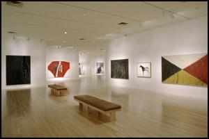 Primary view of object titled 'Susan Rothenberg: Paintings and Drawings [Photograph DMA_1496-11]'.