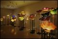 Primary view of Dale Chihuly: Installations 1964-1994 [Photograph DMA_1502-27]