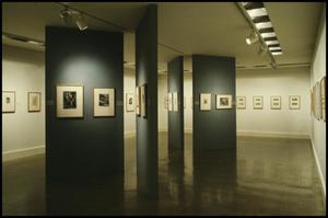 Primary view of object titled 'A Print History: The Bromberg Gifts [Photograph DMA_0271-16]'.