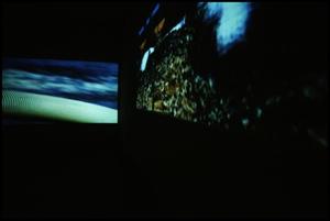 Concentrations 33: Doug Aitken, Diamond Sea [Photograph DMA_1350-40]