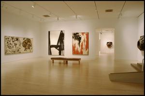 Dallas Museum of Art Installation: Museum of Contemporary Art, 1993 [Photograph DMA_90005-12]