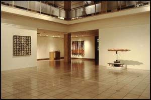 Dallas Museum of Fine Arts Installation: Contemporary Art [Photograph DMA_90001-58]