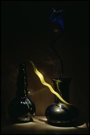 Dale Chihuly: Installations 1964-1994 [Photograph DMA_1502-45]